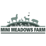 MINI MEADOWS LOGO PNG
